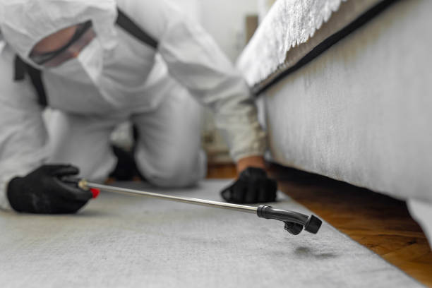 Professional Termite Control technician working in Robinhood, MS
