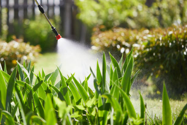 24/7 Emergency Termite Control experts in Robinhood, MS