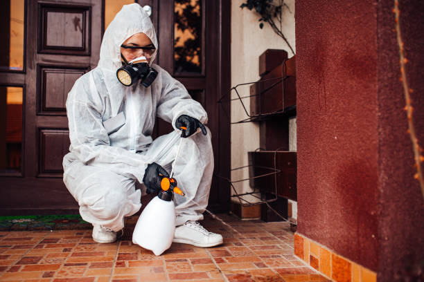 Reliable Termite Control contractor in Robinhood, MS by Nex Pest Control