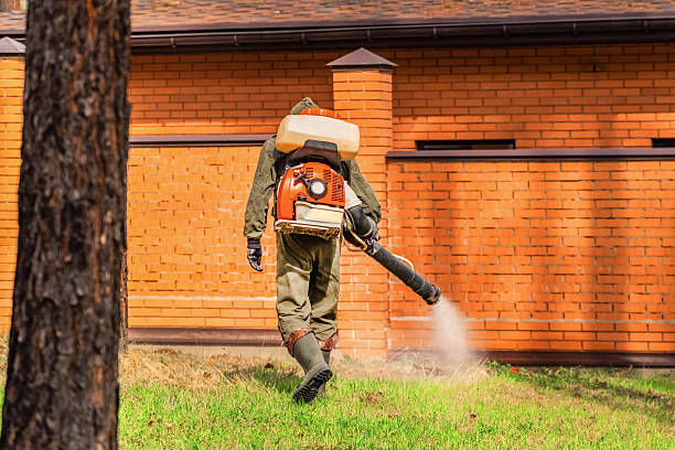 Top rated local Termite Control specialists in Robinhood, MS